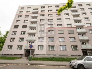 Pronájem bytu 2+1, Hradec Králové, Milady Horákové, 69 m2