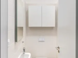 Pronájem bytu 4+kk, Praha - Karlín, U Mlýnského kanálu, 87 m2