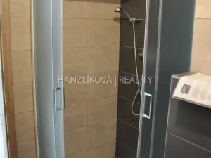 Pronájem bytu 1+kk, České Budějovice - České Budějovice 2, Volejbalistů, 28 m2