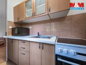 Prodej bytu 1+kk, Bílina, Alšova, 27 m2