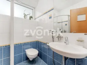 Prodej vily, Zlín, Nivy IV, 479 m2
