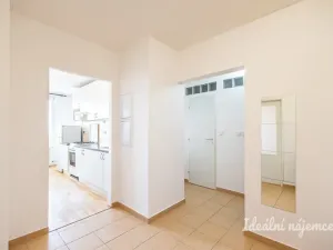Pronájem bytu 2+1, Praha - Žižkov, Jilmová, 54 m2