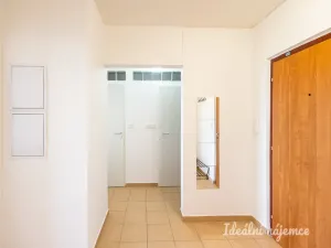 Pronájem bytu 2+1, Praha - Žižkov, Jilmová, 54 m2