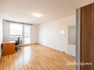 Pronájem bytu 2+1, Praha - Žižkov, Jilmová, 54 m2