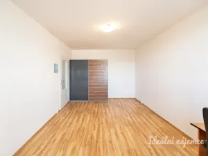 Pronájem bytu 2+1, Praha - Žižkov, Jilmová, 54 m2