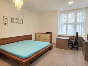 Pronájem bytu 4+kk, Praha - Bubeneč, Národní obrany, 156 m2