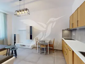 Pronájem bytu 2+kk, Plzeň, Zikmunda Wintra, 52 m2