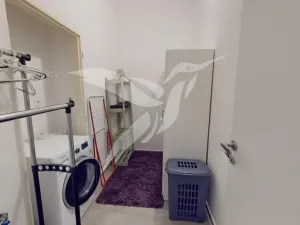 Pronájem bytu 2+kk, Plzeň, Zikmunda Wintra, 52 m2