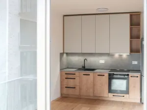 Pronájem bytu 1+kk, Brno - Zábrdovice, Bratislavská, 35 m2