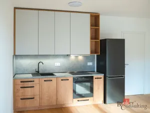 Pronájem bytu 1+kk, Brno - Zábrdovice, Bratislavská, 35 m2