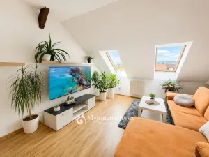 Prodej bytu 2+kk, Znojmo, Vídeňská třída, 71 m2