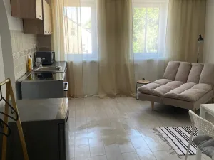 Pronájem bytu 1+1, Kraslice, Rybná, 30 m2