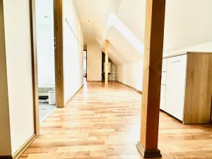 Prodej vícegeneračního domu, Chlumany, 200 m2