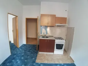 Pronájem bytu 1+1, Plzeň, Spolková, 35 m2