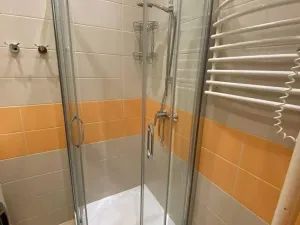 Prodej bytu 1+1, Praha - Karlín, Křižíkova, 49 m2