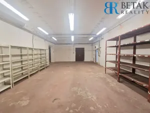 Pronájem obchodního prostoru, Přerov, Teličkova, 257 m2