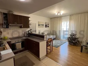 Pronájem pokoje, Praha - Žižkov, Lukášova, 16 m2