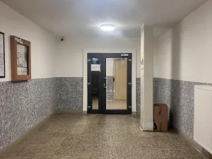 Prodej bytu 1+kk, Ostrava - Zábřeh, Petruškova, 28 m2