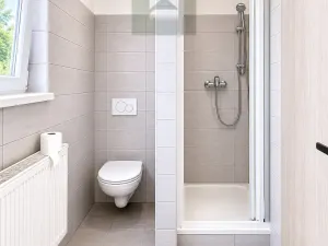 Pronájem bytu 3+kk, Staňkov - Staňkov I, Americká, 50 m2