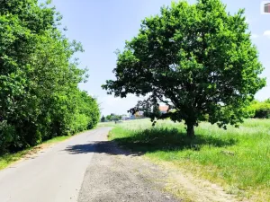 Prodej pozemku pro bydlení, Otvice, Šípková, 1085 m2