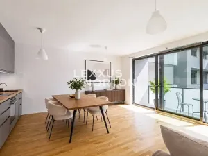Prodej bytu 1+kk, Praha - Žižkov, U Viktorie, 40 m2