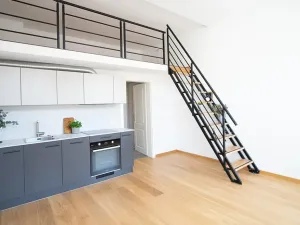 Pronájem bytu 1+kk, Praha - Žižkov, Jeronýmova, 30 m2