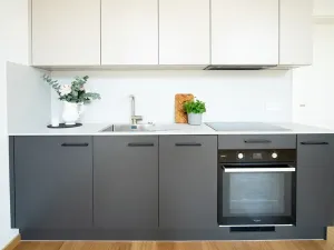 Pronájem bytu 1+kk, Praha - Žižkov, Jeronýmova, 30 m2