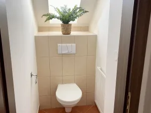 Pronájem rodinného domu, Mníšek pod Brdy, Luční, 150 m2