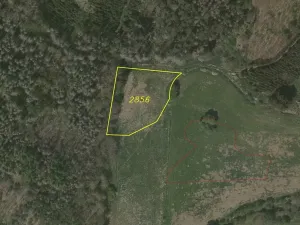 Dražba louky, Dešná, 2759 m2