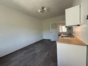 Pronájem bytu 2+1, Ústí nad Labem - Střekov, Purkyňova, 59 m2