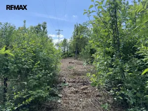 Pronájem zahrady, Lipník nad Bečvou, 851 m2