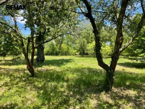 Pronájem zahrady, Lipník nad Bečvou, 2982 m2