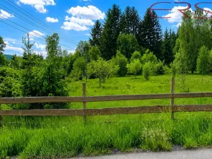 Prodej pozemku pro bydlení, Cvikov - Trávník, 5479 m2