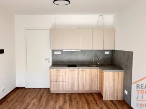 Pronájem bytu 1+kk, Hradec Králové, Pod Zámečkem, 27 m2
