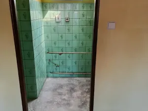 Prodej rodinného domu, Strakonice - Přední Ptákovice, 141 m2