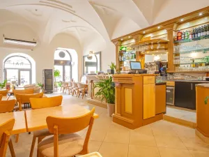 Pronájem restaurace, Brno, náměstí Svobody, 270 m2