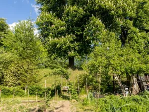 Prodej zahrady, Kdyně, Na Kobyle, 381 m2