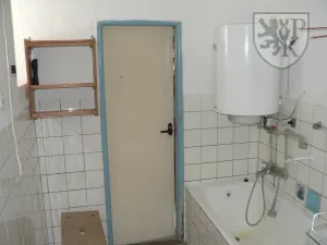 Prodej chalupy, Kocelovice, 490 m2