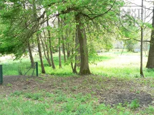 Prodej chalupy, Kocelovice, 490 m2