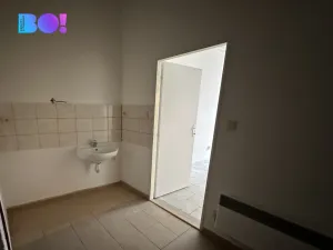 Prodej vícegeneračního domu, Fulnek, Fučíkova, 255 m2