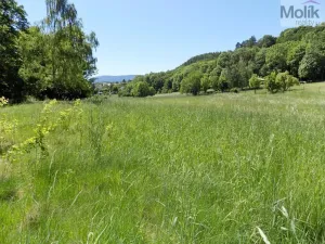 Prodej pozemku pro bydlení, Dubí - Běhánky, Dlouhá, 29804 m2