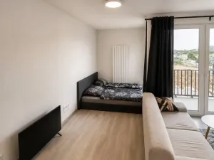 Pronájem bytu 1+kk, Praha - Žižkov, Olgy Havlové, 34 m2