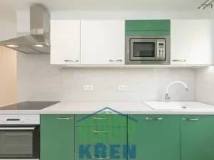 Pronájem bytu 2+1, Praha - Sedlec, V Sedlci, 50 m2