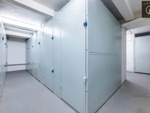 Prodej komerční nemovitosti, Praha - Vinohrady, Rejskova, 37 m2