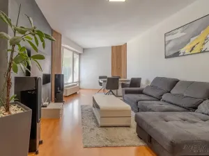 Prodej bytu 2+kk, Ostrava, Kaminského, 63 m2