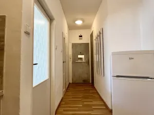 Pronájem bytu 1+kk, Ostrava, Podroužkova, 31 m2