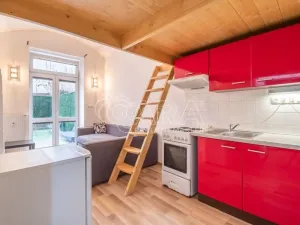 Pronájem bytu 1+kk, Praha - Libeň, Pod Labuťkou, 45 m2