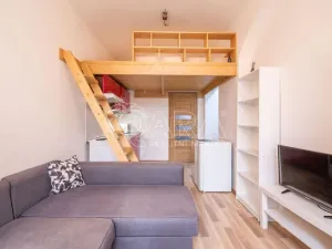 Pronájem bytu 1+kk, Praha - Libeň, Pod Labuťkou, 45 m2
