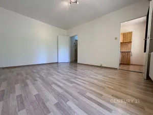 Pronájem bytu 1+1, Bílina, Alšova, 27 m2