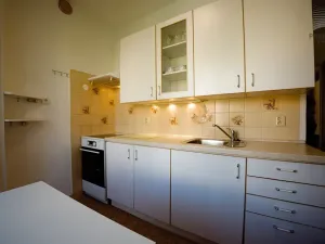 Pronájem bytu 2+1, Brno, Družstevní, 54 m2